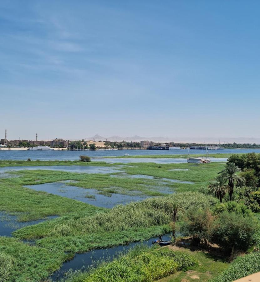 Blue Nile House Apartment Luxor Ngoại thất bức ảnh